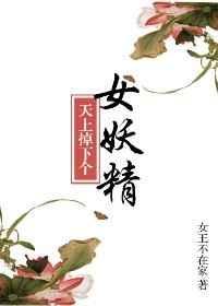 天上掉下个美娇娘番外