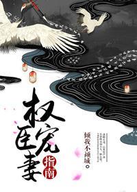 权臣宠妻手册臣年