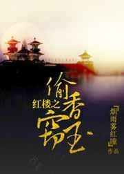红楼梦偷香窃玉电影在线观看
