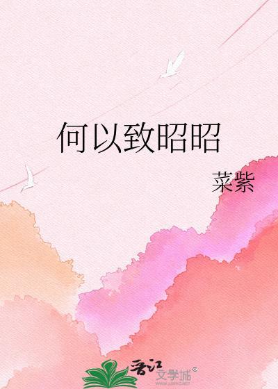 何以致昭昭by菜紫免费阅读无弹窗