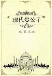 现代贵公子by北有凉城 百度