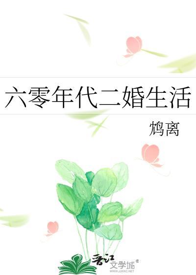 六零年代二婚生活免费阅读