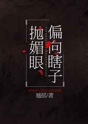 偏向瞎子抛媚眼奇书网