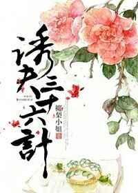 三十六计追夫