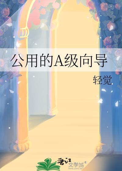 a级向导能匹配S级及以下哨兵