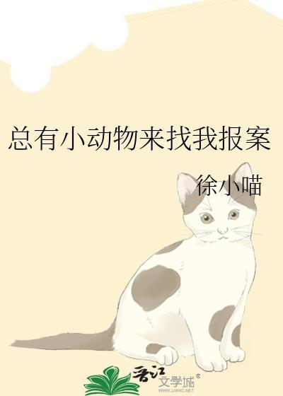 总有小动物来找我报案免费阅读