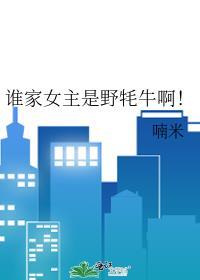 谁家女主是野牦牛啊!作者喃米晋江