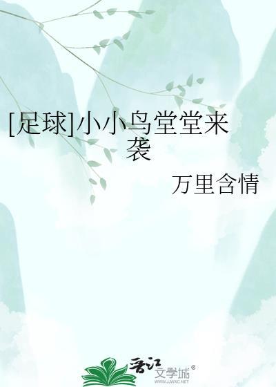 小小鸟网球