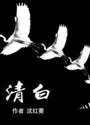 清白是什么意思