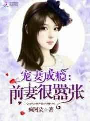 宠爱前妻