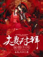 夫妻对拜闪婚媳妇宠上天