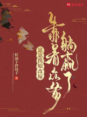 崽崽的