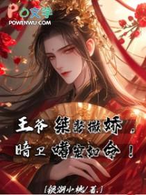 王爷暗卫宠文最新篇