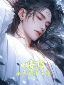 小暗卫结局如何