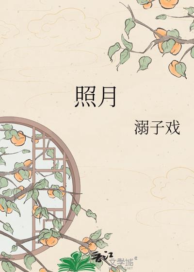 照月记在线阅读