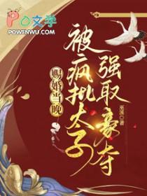 赐婚章节