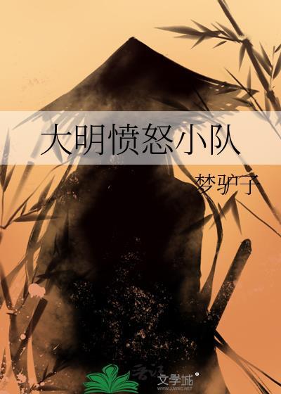 大明愤怒小队TXT全本