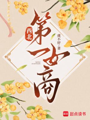 西北女明星都有谁