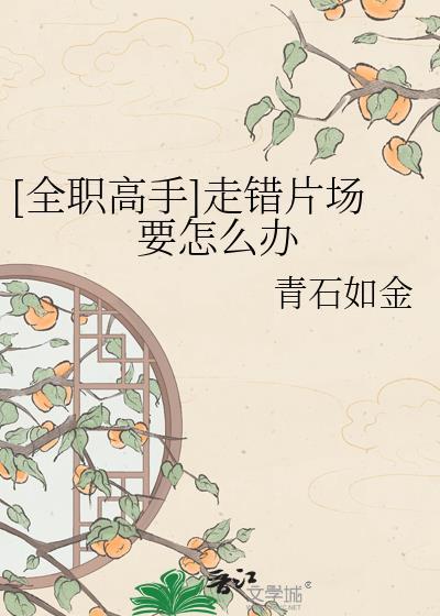 全职高手动漫拍到了第几章