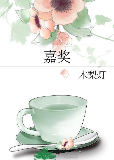 嘉奖by木梨灯txt
