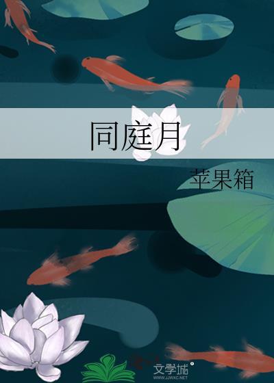 同庭月苹果箱