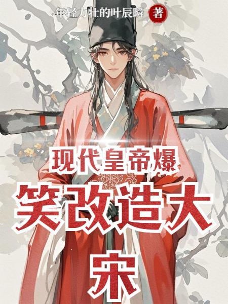 大宋改革