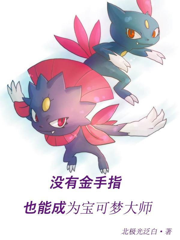 精灵宝可梦金手指代码如何用