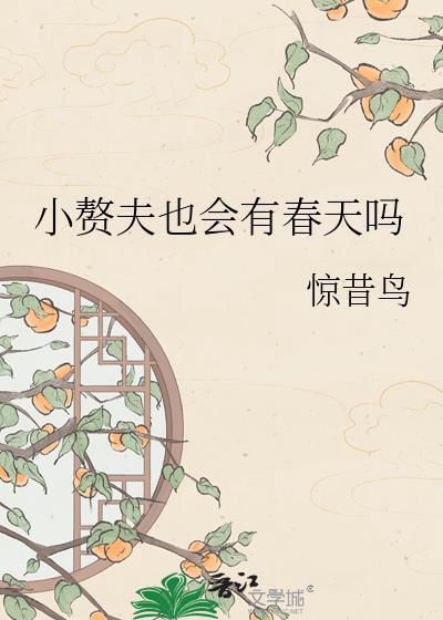 小夫郎的赘婿