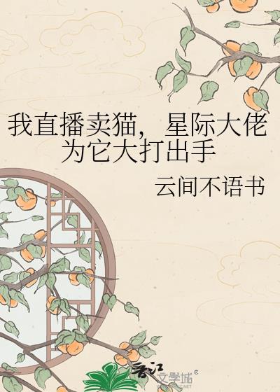 卖猫直播间
