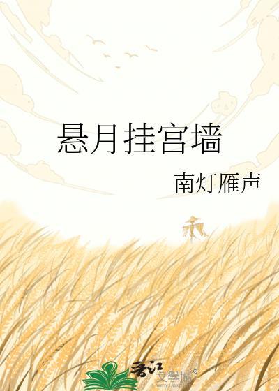 悬月挂宫墙by南灯雁声全文免费阅读最新章节列表