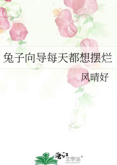 兔子向导每天都想摆烂作者风晴好第2