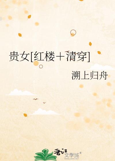 贵女红楼清穿