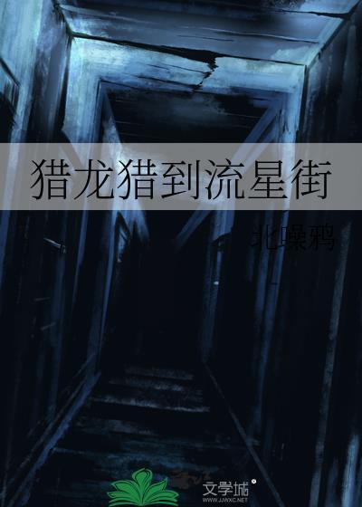 猎龙飞船百度百科