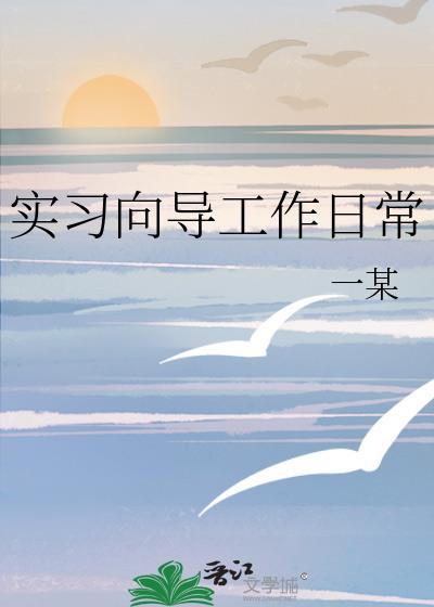向导的工作日常txt