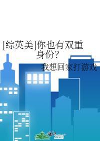 综英美双子