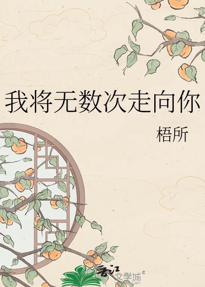 我将无数次走向你歌词
