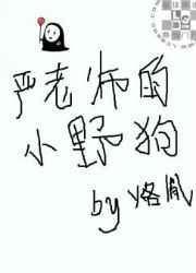 严老师