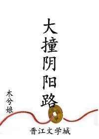 大撞阴阳路by木兮娘讲的是什么