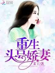 头号宠妻令全文免费阅读