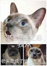 死而复生之后我从老头变成了绝世大美人攻是谁