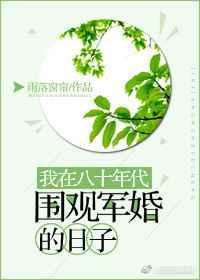 我在80年代当军嫂短剧在线观看