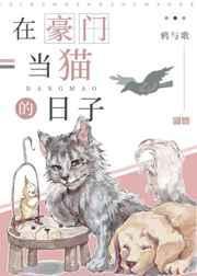 在豪门当少爷[娱乐圈