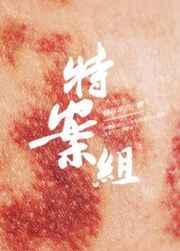 特殊案件调查组IV