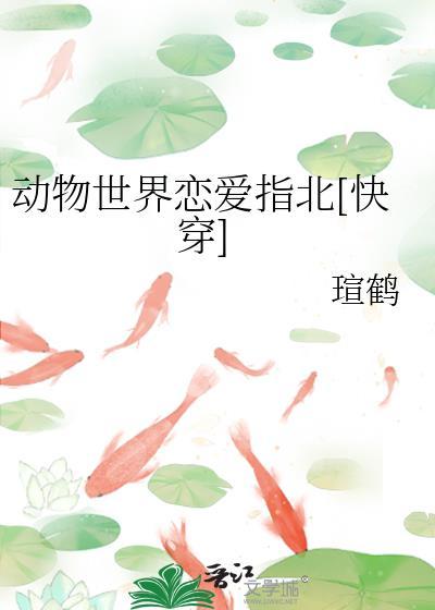 动物世界的爱情观