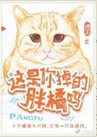 这是你掉的胖橘吗免费阅读