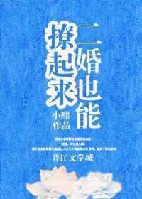 二婚也精彩