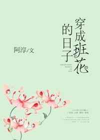穿成班花的日子免费完结