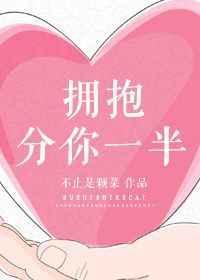拥抱分你一半番外txt