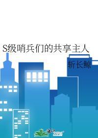 哨兵vn
