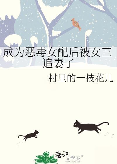 成为恶毒女配后被女三追妻了by村